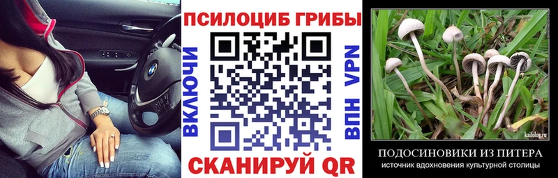 Галлюциногенные грибы Magic Shrooms  Купить  Макарьев 
