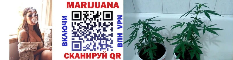 Купить закладки  Макарьев  Канабис марихуана 